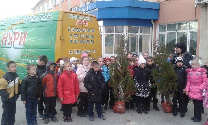 мектептің көгаландыру жұмыстары