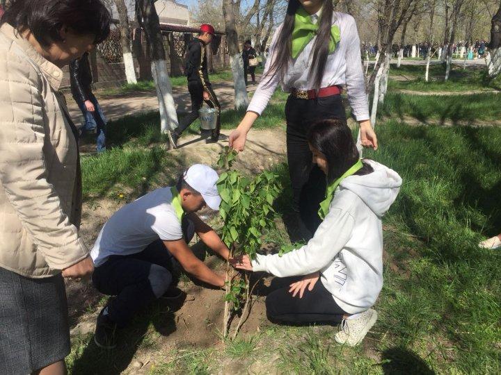 Қалалық "Атадан мал қалғанша, тал қалсын" түлектер акциясына 