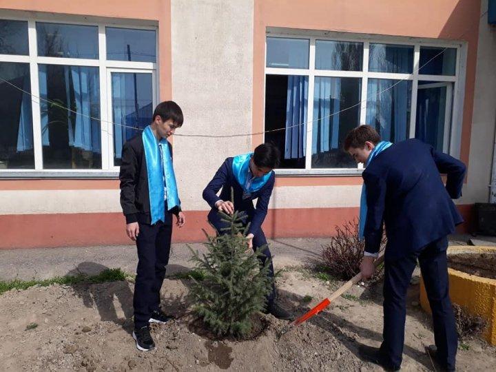 "Мектепке тағзым"