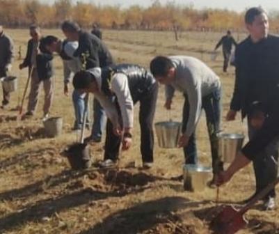 Тараз қаласы әкімдігінің білім бөлімінің жоспарына сәйкес қалалық сенбілікке қатысу