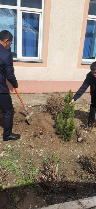 Ұлыстың Ұлы күні Наурыз мерекесі қарсаңында Ю.Гагарин атындағы 29 орта мектебінің ұжымы "Мекенім жасыл елім" акциясы аясында ағаш отырғызылды.